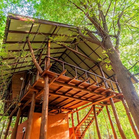 Kaala Kalaththewa Luxury Eco Resort Holambra Exterior foto