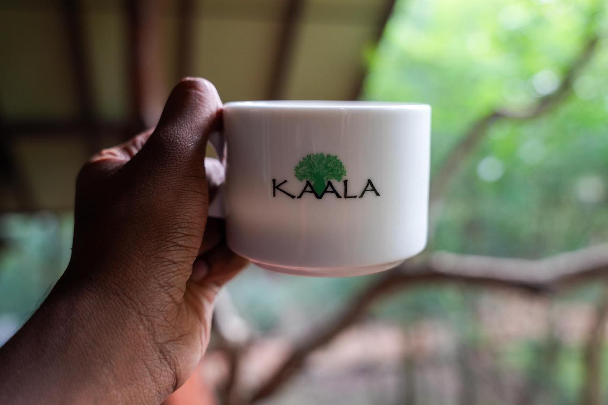 Kaala Kalaththewa Luxury Eco Resort Holambra Exterior foto