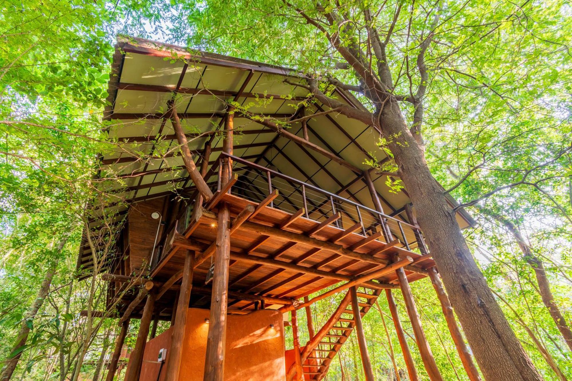 Kaala Kalaththewa Luxury Eco Resort Holambra Exterior foto
