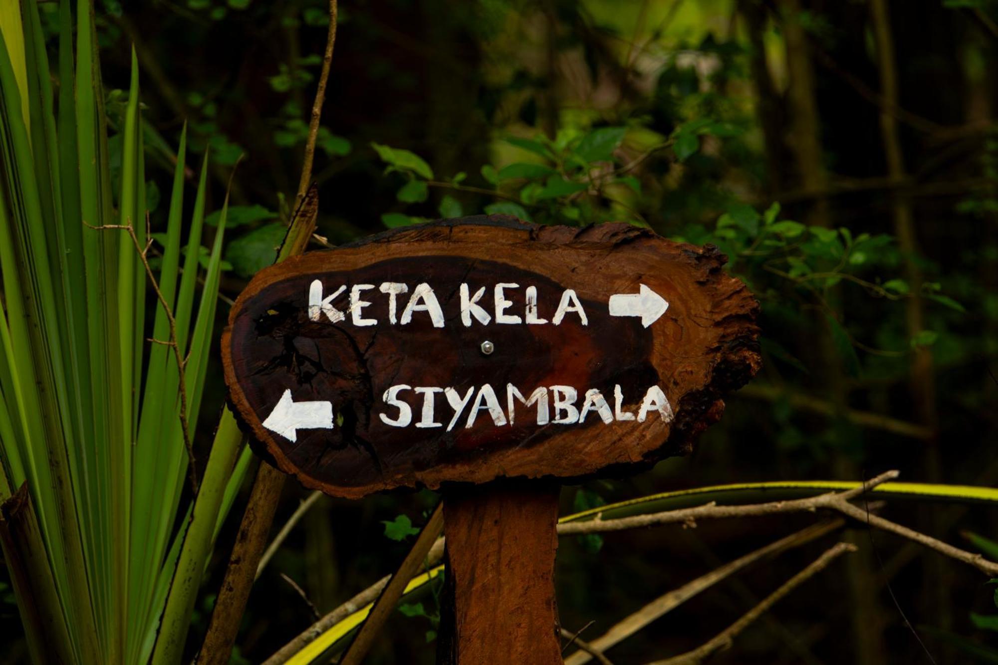 Kaala Kalaththewa Luxury Eco Resort Holambra Exterior foto