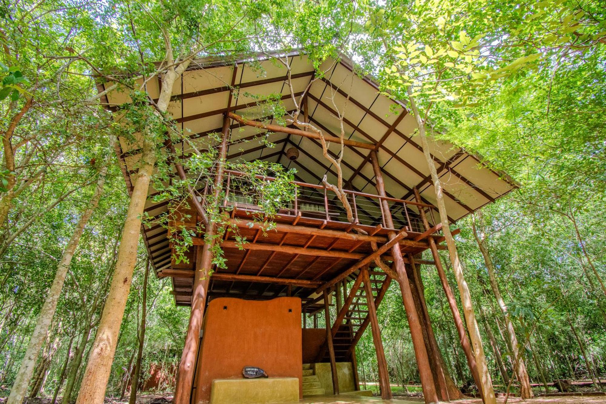 Kaala Kalaththewa Luxury Eco Resort Holambra Exterior foto