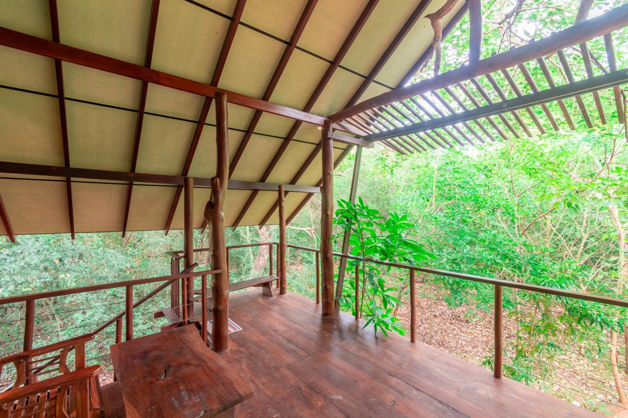 Kaala Kalaththewa Luxury Eco Resort Holambra Exterior foto
