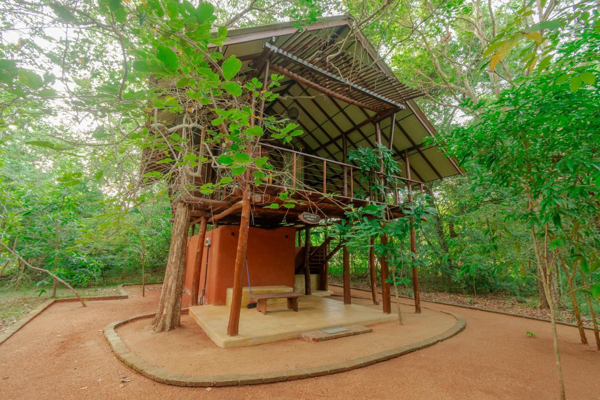 Kaala Kalaththewa Luxury Eco Resort Holambra Exterior foto