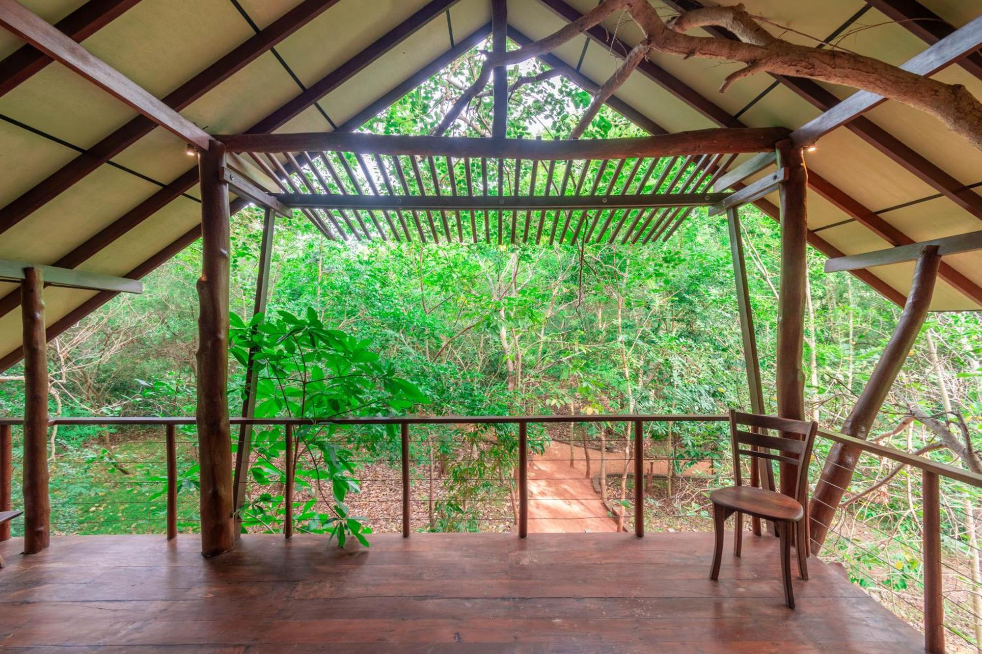 Kaala Kalaththewa Luxury Eco Resort Holambra Exterior foto