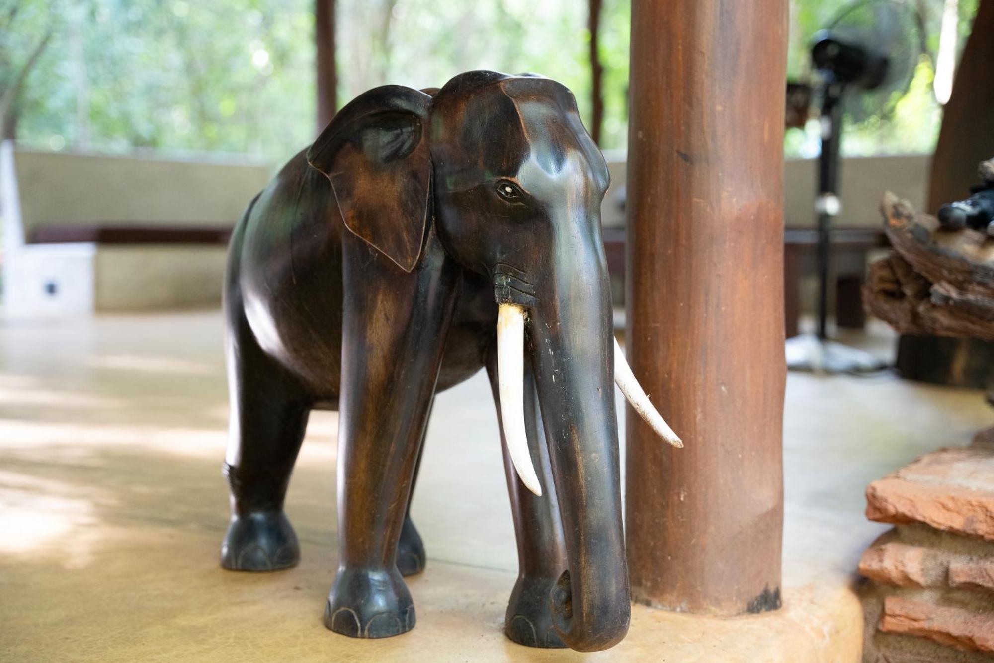 Kaala Kalaththewa Luxury Eco Resort Holambra Exterior foto